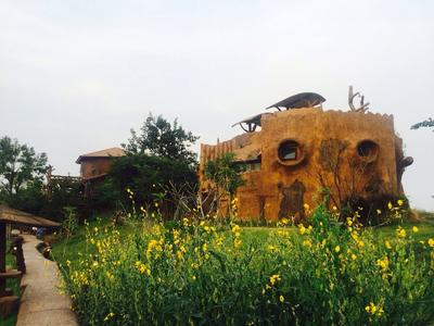 Timberland and Fruit Resort