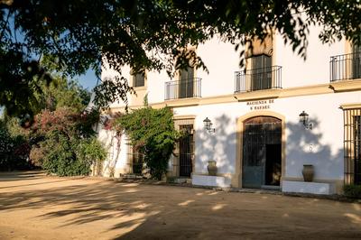 Hacienda de San Rafael by ALUZ Collection