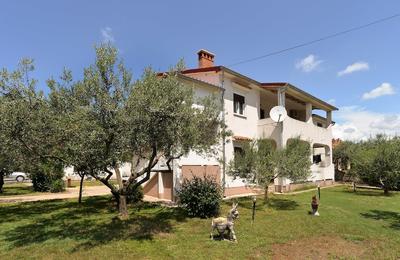 Apartment 1136