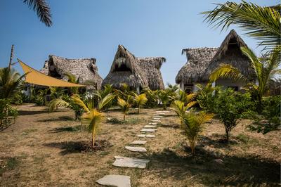 Swell Surf & Lifestyle Hotel