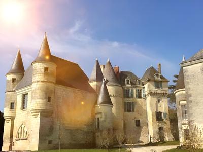 Château de La Celle Guenand