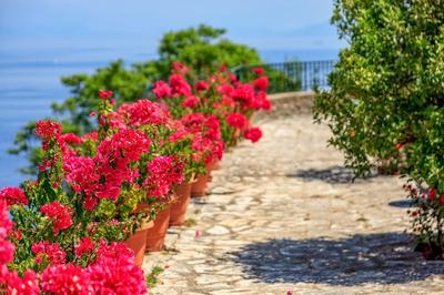 Villa Aphrodite Corfu City