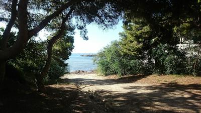 Guesthouse -El campello-Alacant