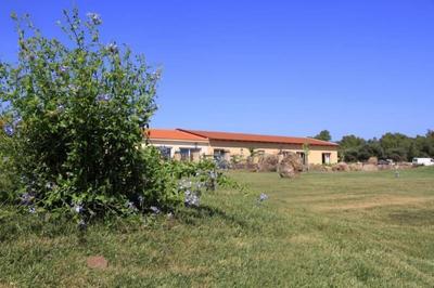 Country Resort Capo Nieddu
