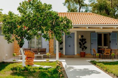 Ideal House
