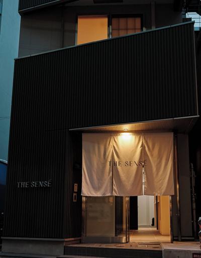 THE SENSE