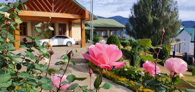 Tea Bush Hotel - Nuwara Eliya