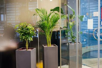 Peakture Hotel Bucharest
