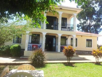 Rena Akasha Establishments