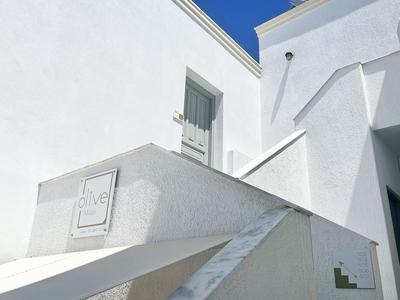 Olive Studios