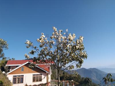 Grace homestay Sadam