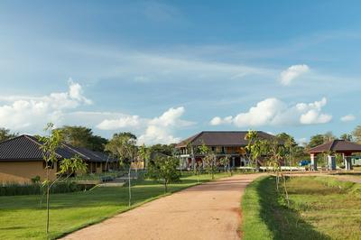 Seerock The King's Domain