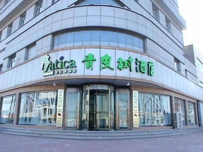 Vatica TianJin JingHai District Bus Station Home World Plaza Hotel