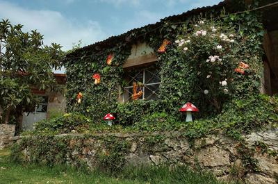 Hotel Las Palmas By GEstores