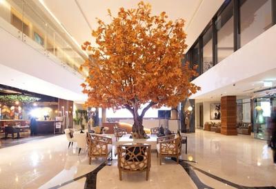 C Central Resort the Palm