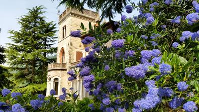 B&B Il Parco e gli Affreschi
