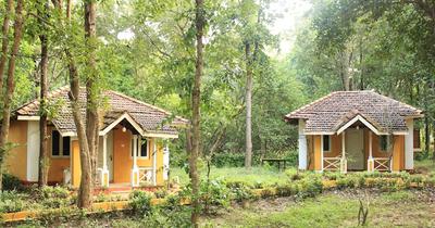 Wild Chalet Resort