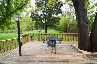 Wooded Refuge in the Heart of the City