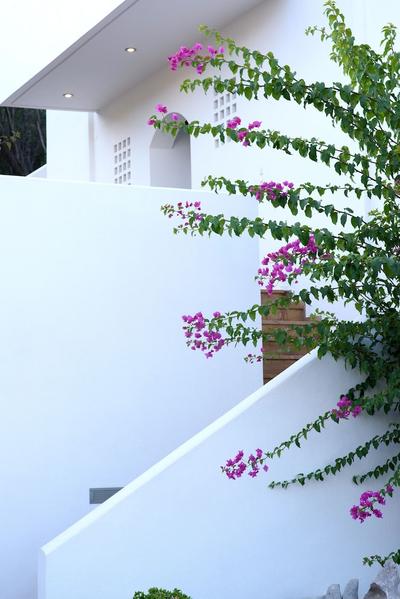 Melia Sol Art Studios