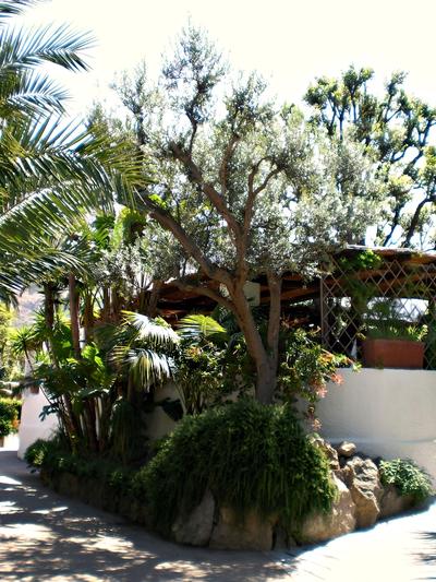 Hotel Parco Maria Terme