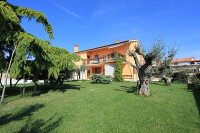 Apartment in Fazana With Garden & Terrace