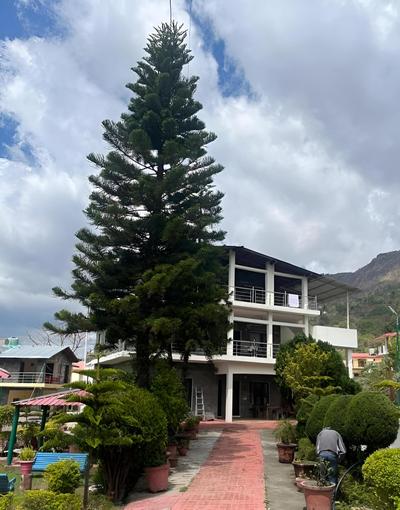 Roomshala 055 Paradise