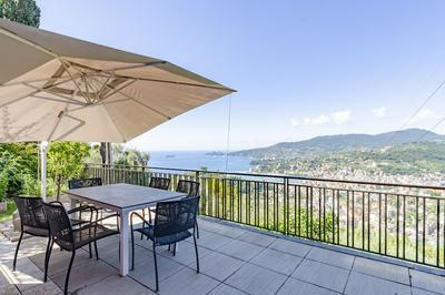JOIVY Vista Mondo