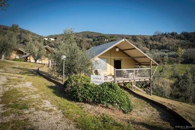Podere Cortesi - Lodge la Quercia