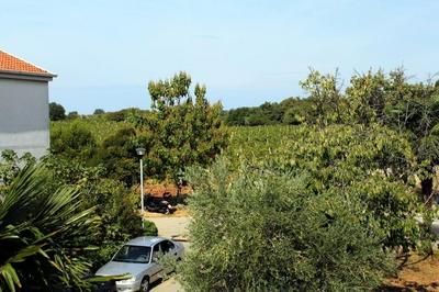 Neva - Great Location - A3 Prvi kat do Ulice
