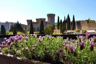 B&B Il Castello