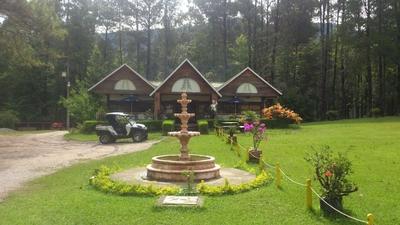 Siempre Verde Chiapas