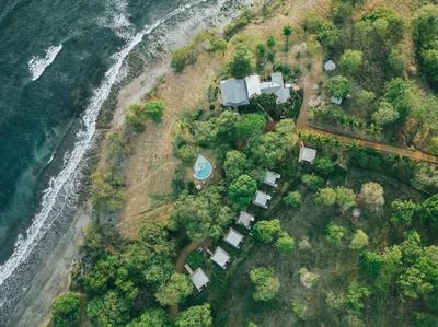 The Bohemian  Lagarto