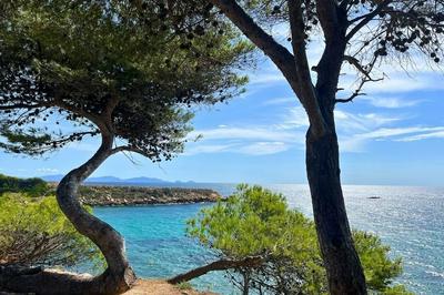 Camping Domaine des Tamaris