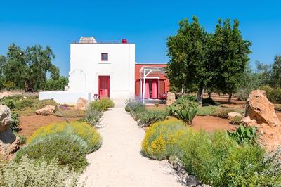 TD Lamia Porta Rossa Countryside w Olive Trees