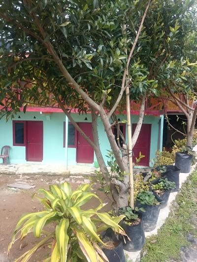 Penginapan Biringta