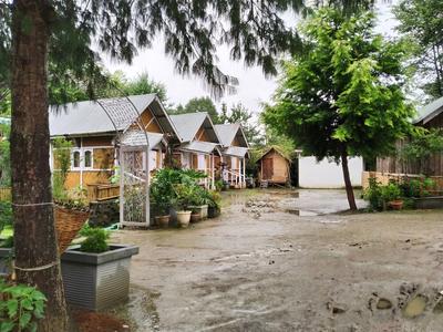 Ziro Valley Resort