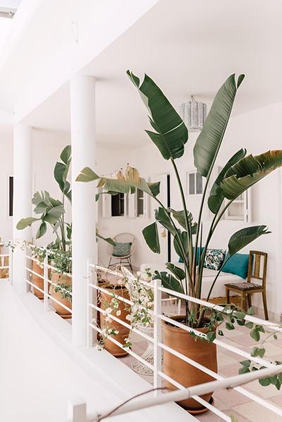 Zwin Zwin Boutique Hôtel & SPA