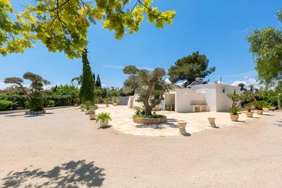 3229 Trullo Mimosa by Perle di Puglia
