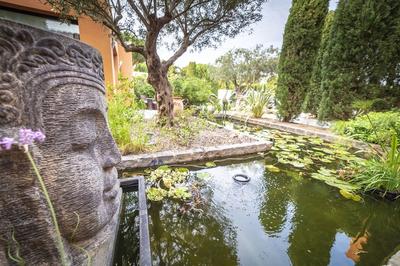 Villa Peacock