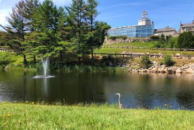 Steele Hill Resorts