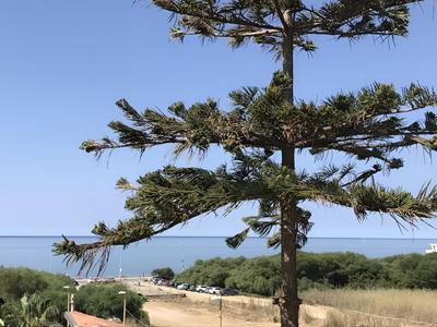B&B Frontemare