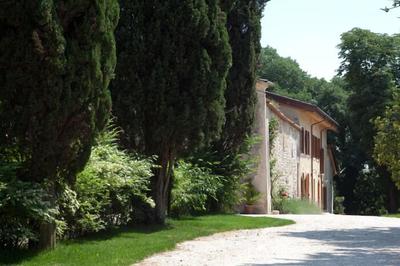 Agriturismo Pieve S. Nicolò, Billede 2