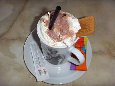 Hôtel Les grands voyageurs