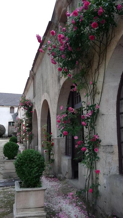Chambres d'hôtes de l'Abbaye