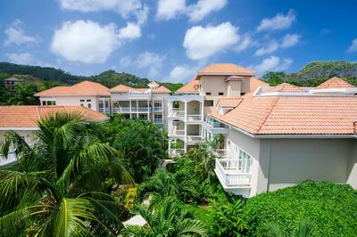 Lawson Rock Angelfish 203