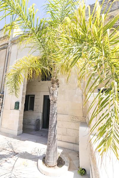 B&B Tarantola