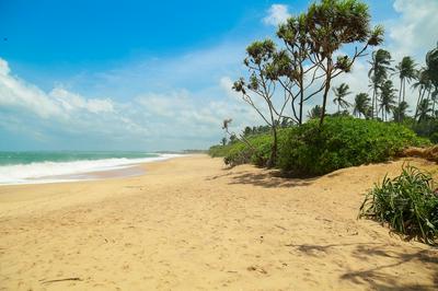 Heaven in Satin Woods Rekawa