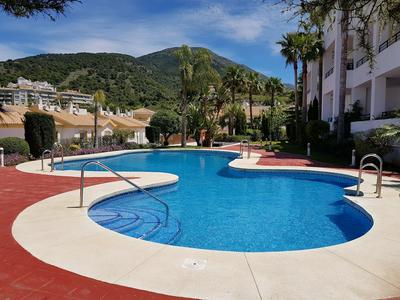 Las Brisas 33