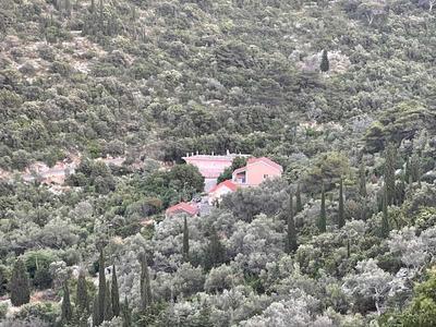 Apartments Leviana