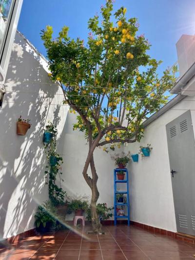 Accommodation In A Charming Village House